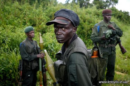 Війна в Конго (11 фото)